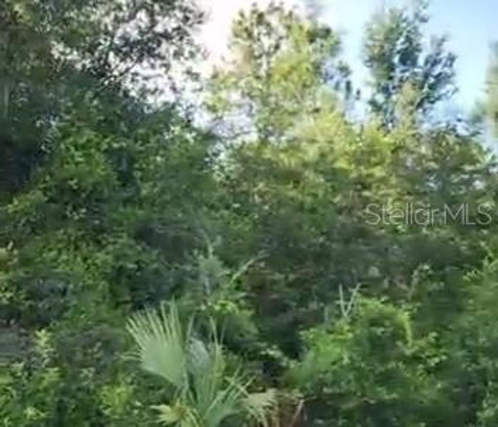 Photo of SE 97 Avenue, Summerfield, FL 34491 (MLS # G5100453)