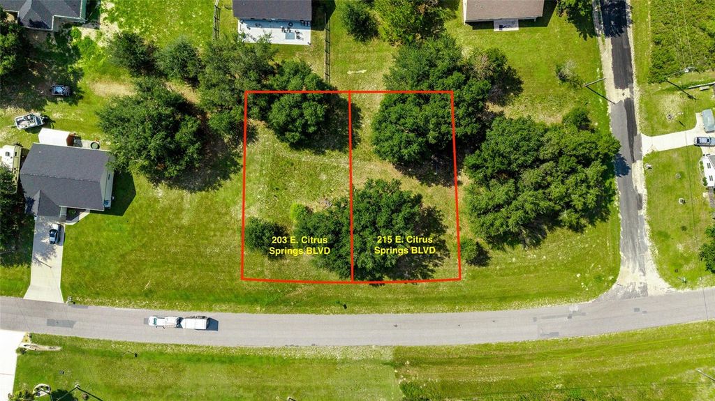 Photo of 203 E Citrus Springs Boulevard, Citrus Springs, FL 34434 (MLS # OM709559)