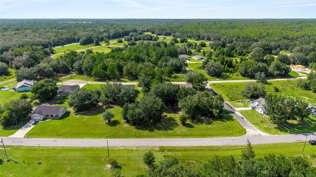 Photo of 203 E Citrus Springs Boulevard, Citrus Springs, FL 34434 (MLS # OM709559)