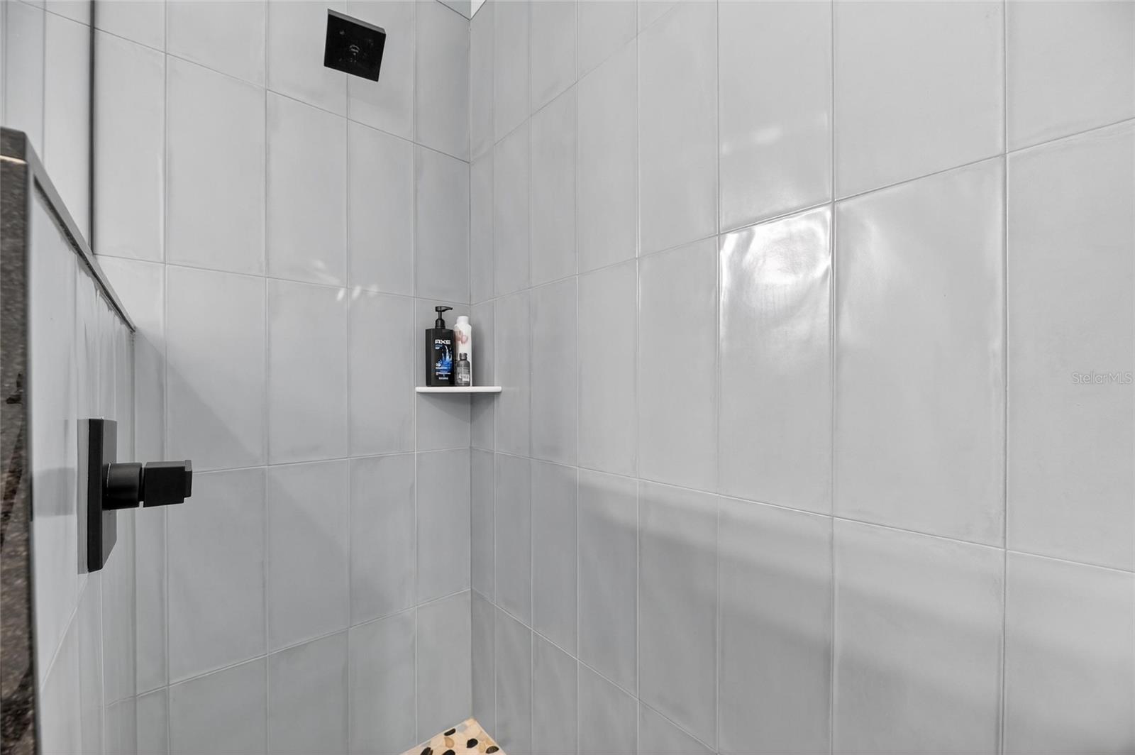 BAY LAKE RESIDENCE - Residential