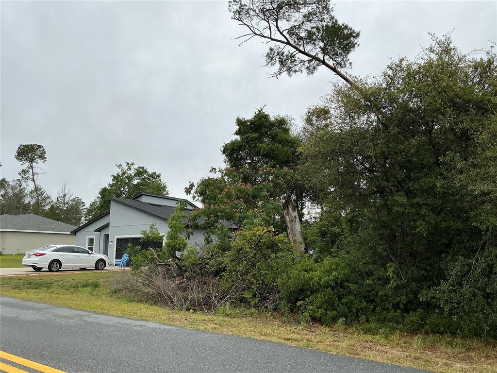 Photo of SW 165th Place, Ocala, FL 34473 (MLS # OM724772)
