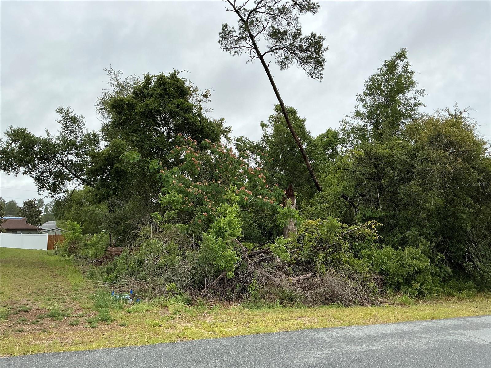 MARION OAKS UN 04 - Land