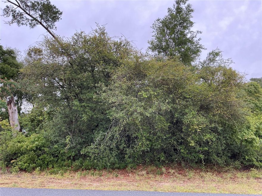 Build your dream home or secure your next investment opportunity in the fast-growing community of Marion Oaks! This corner lot features city water availability, paved road access, and nearby power, making development simple and cost-effective. Plus, the property is free of environmental concerns, helping save time and reducing additional building expenses. This prime homesite is ideally located in southwest Ocala, one of Marion County’s most desirable and expanding residential areas, with convenient access to major roadways including I-75 and CR-484 for an easy commute to downtown Ocala, Belleview, and surrounding Central Florida destinations. Enjoy being just minutes from shopping, dining, medical facilities, schools, parks, and the popular Marion Oaks Community Center, offering everyday convenience in a peaceful neighborhood setting. Marion Oaks continues to see strong growth and infrastructure improvements, including expanded utility services throughout the area.
