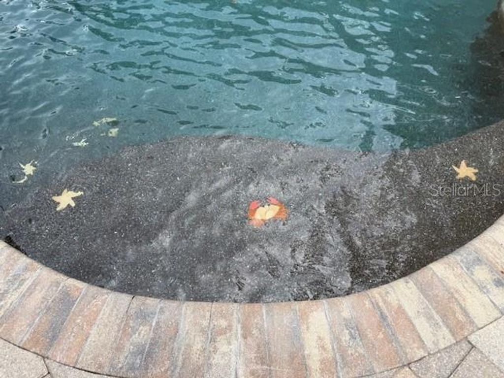 Photo of 2330 Windsor Oaks Avenue, Lutz, FL 33549 (MLS # R4909757)