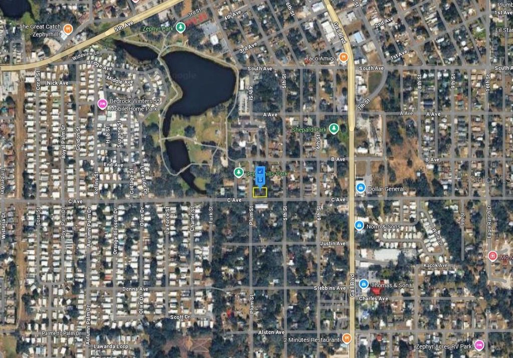 Photo of 4800 Plum Street, Zephyrhills, FL 33542 (MLS # A4691521)