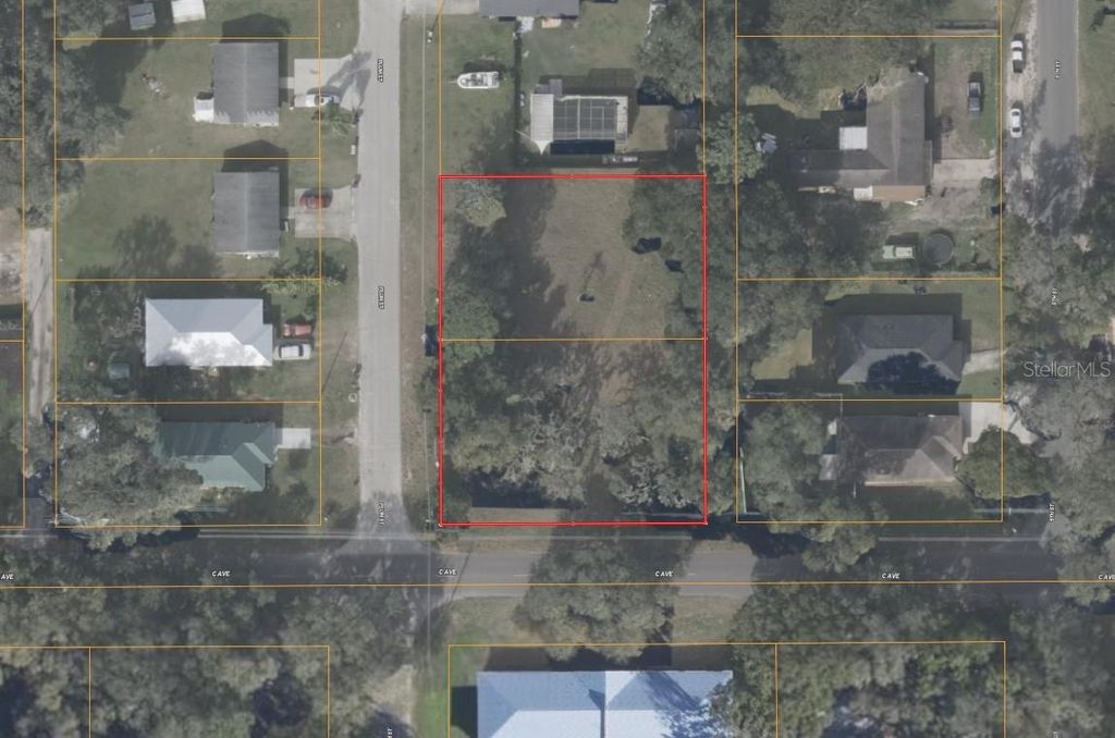 Photo of 4800 Plum Street, Zephyrhills, FL 33542 (MLS # A4691521)