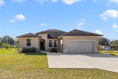 Photo of 37041 N Thrill Hill Road, Eustis, FL 32736 (MLS # O6365927)
