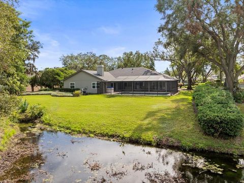 A home in TAMPA