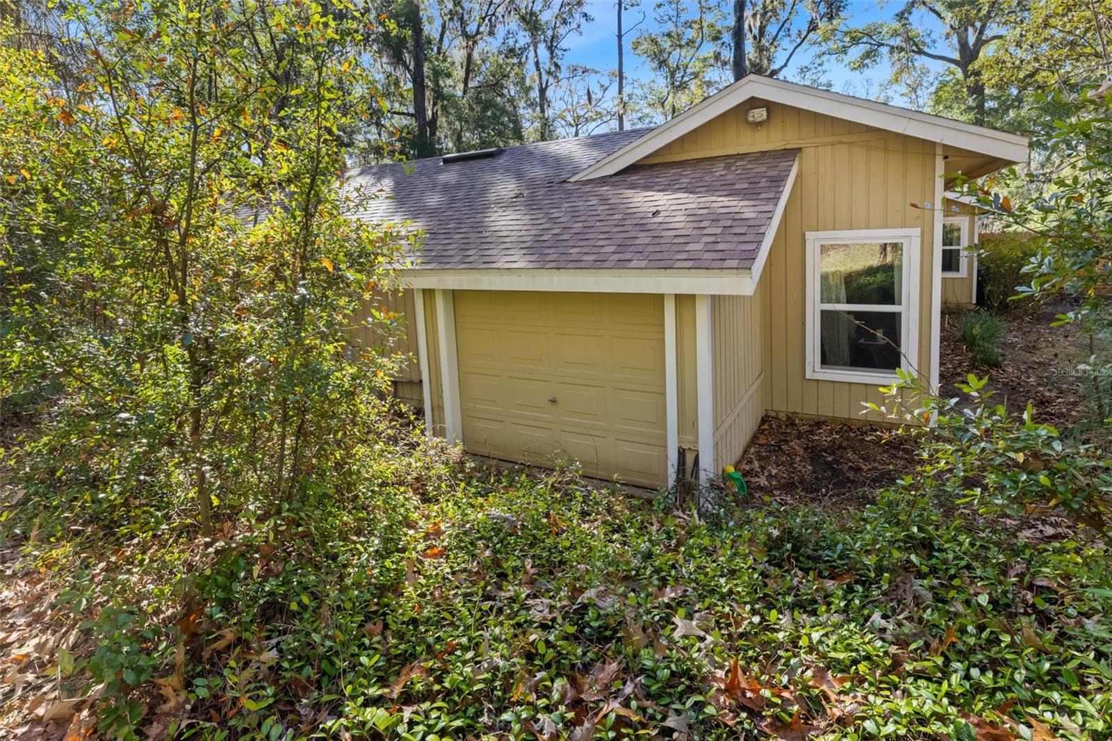 RAINTREE - Residential