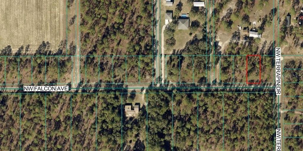 Photo of Tbd NW Falcon Ave, Lot 33, Dunnellon, FL 34431 (MLS # OM720126)