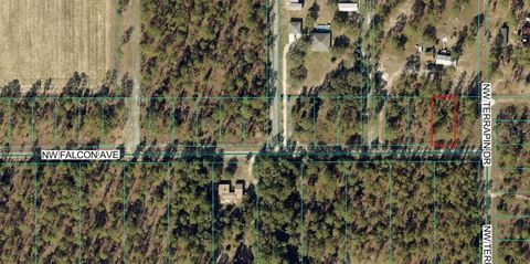 TBD NW FALCON AVE, LOT 33 DUNNELLON FL 34431