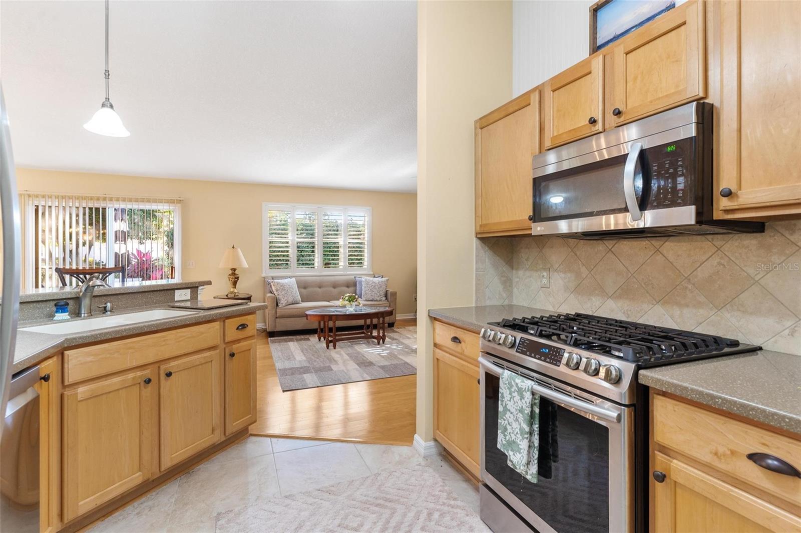 VILLAGES OF SUMTER ARLINGTON VILLAS - Residential