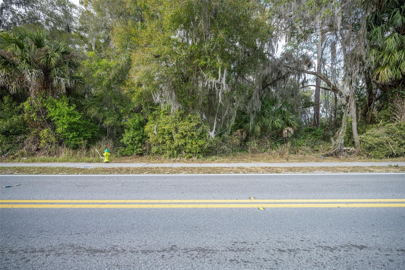 VOLUSIA HIGHLANDS - Land