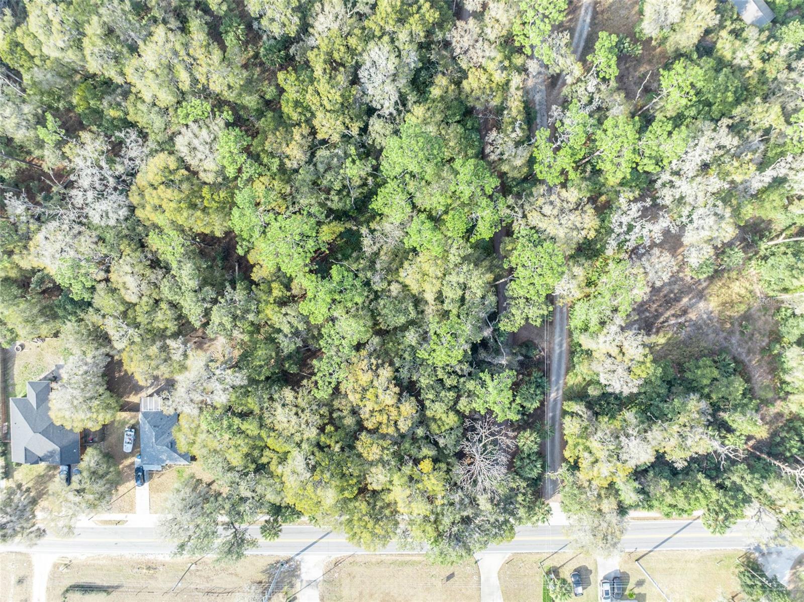 VOLUSIA HIGHLANDS - Land