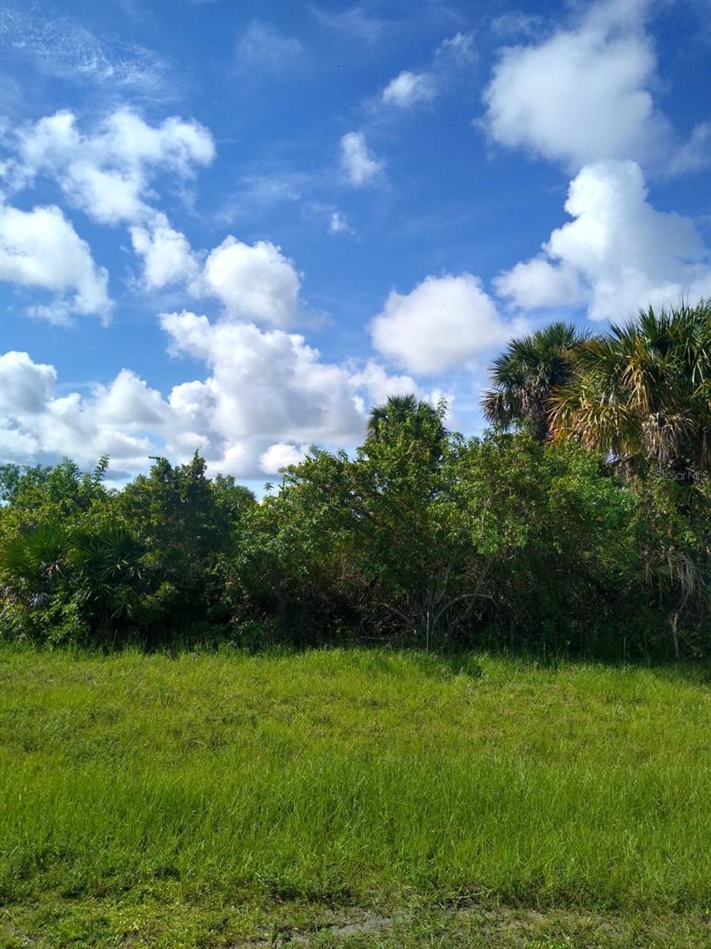 Photo of 443 Albatross Road, Rotonda West, FL 33947 (MLS # C7498836)