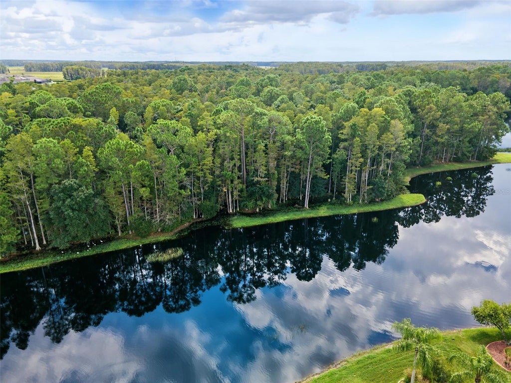 Photo of 1300 Trimaran Place, Trinity, FL 34655 (MLS # W7890033)