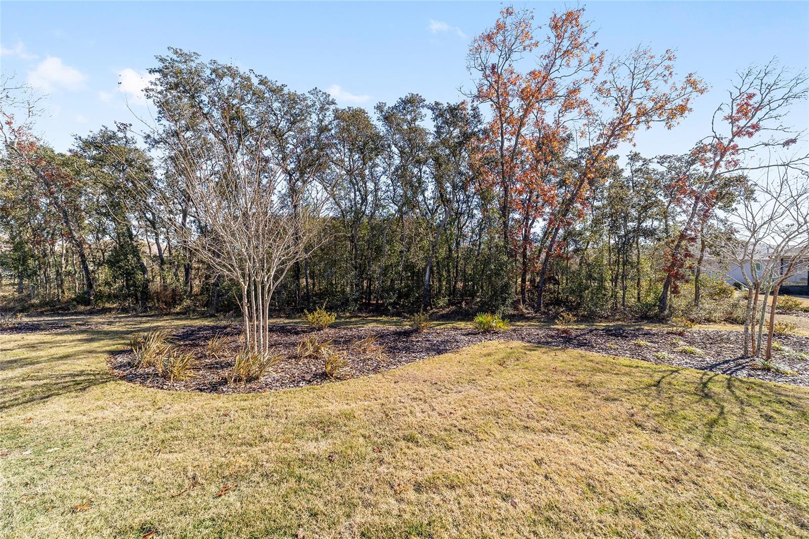 ON TOP OF THE WORLD - Residential