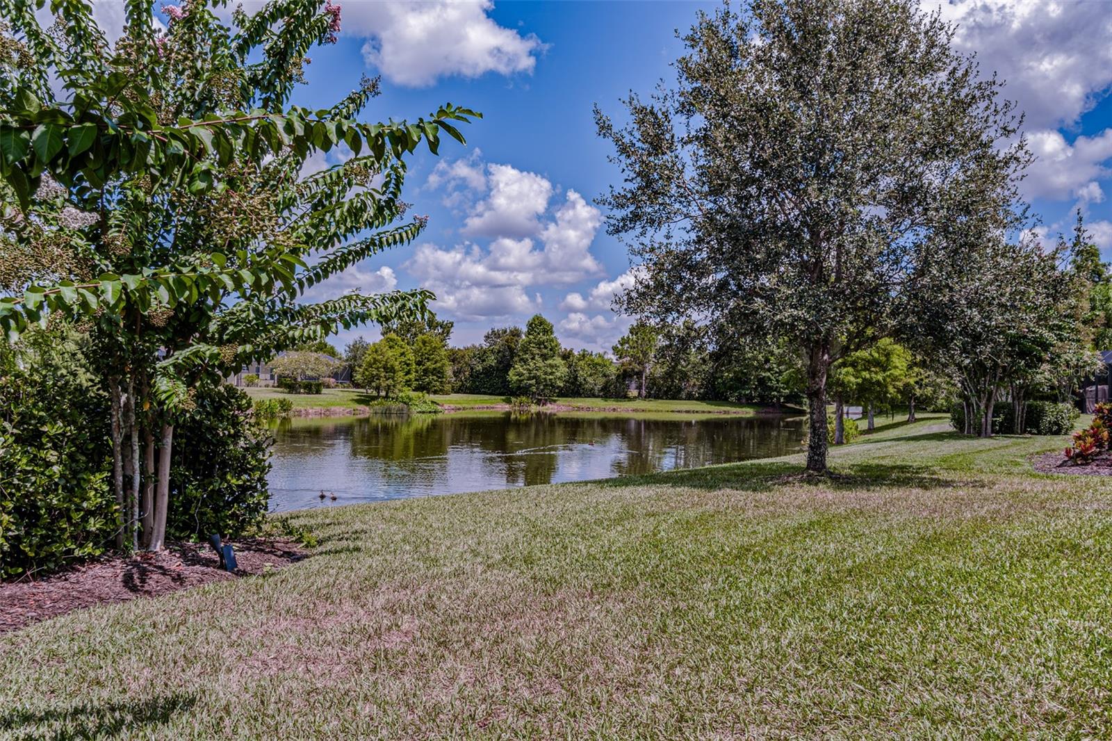 FOREST CREEK PH III - Residential