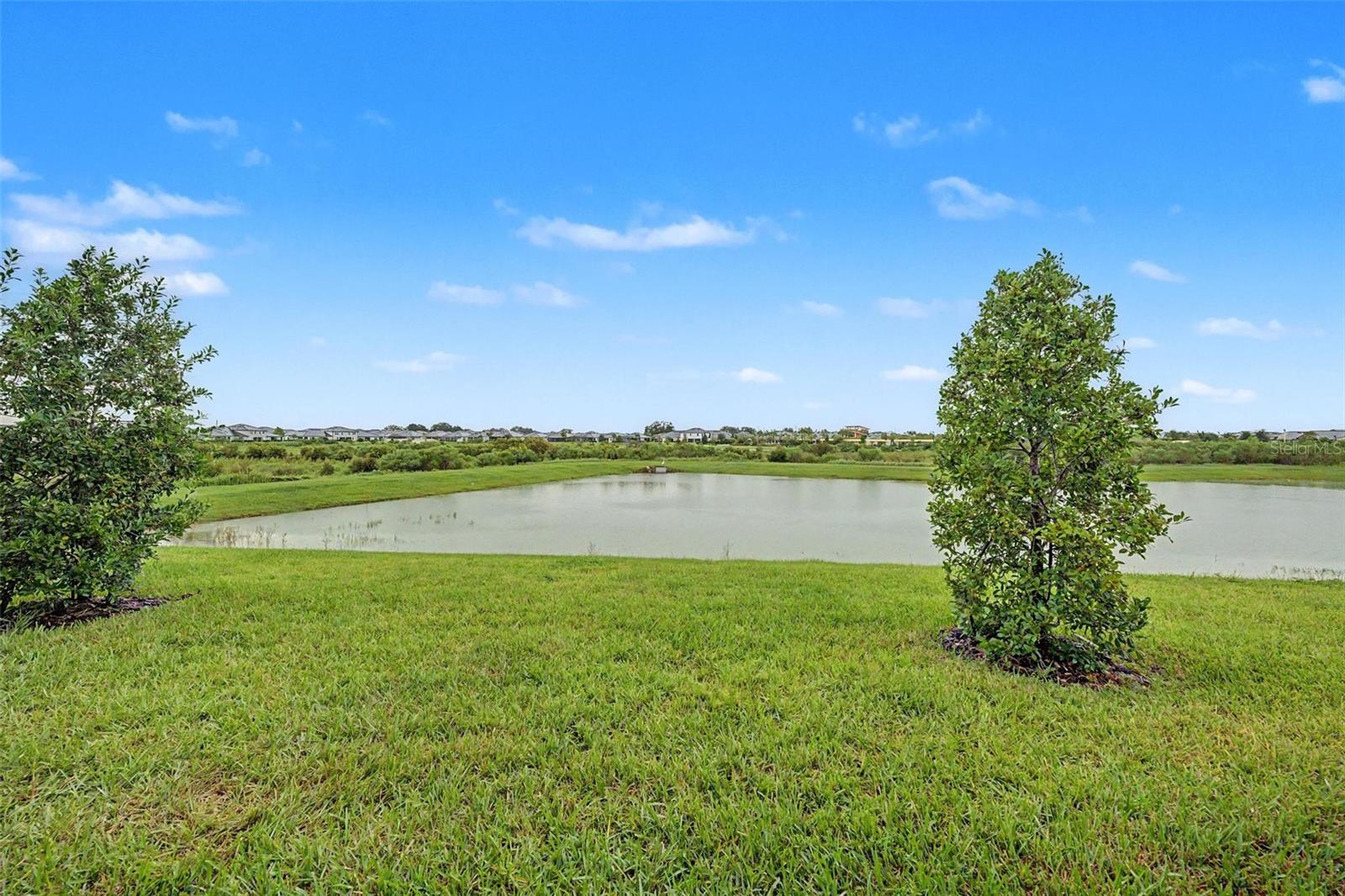 32172 CANNON RUSH DRIVE