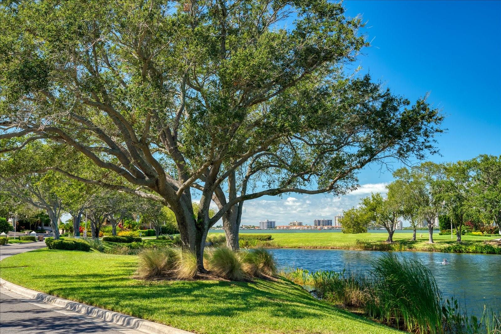 BELLEVIEW ISLAND - Land