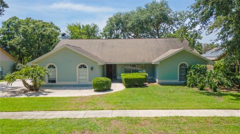 2505 BUCKHORN RUN DRIVE VALRICO FL 33596