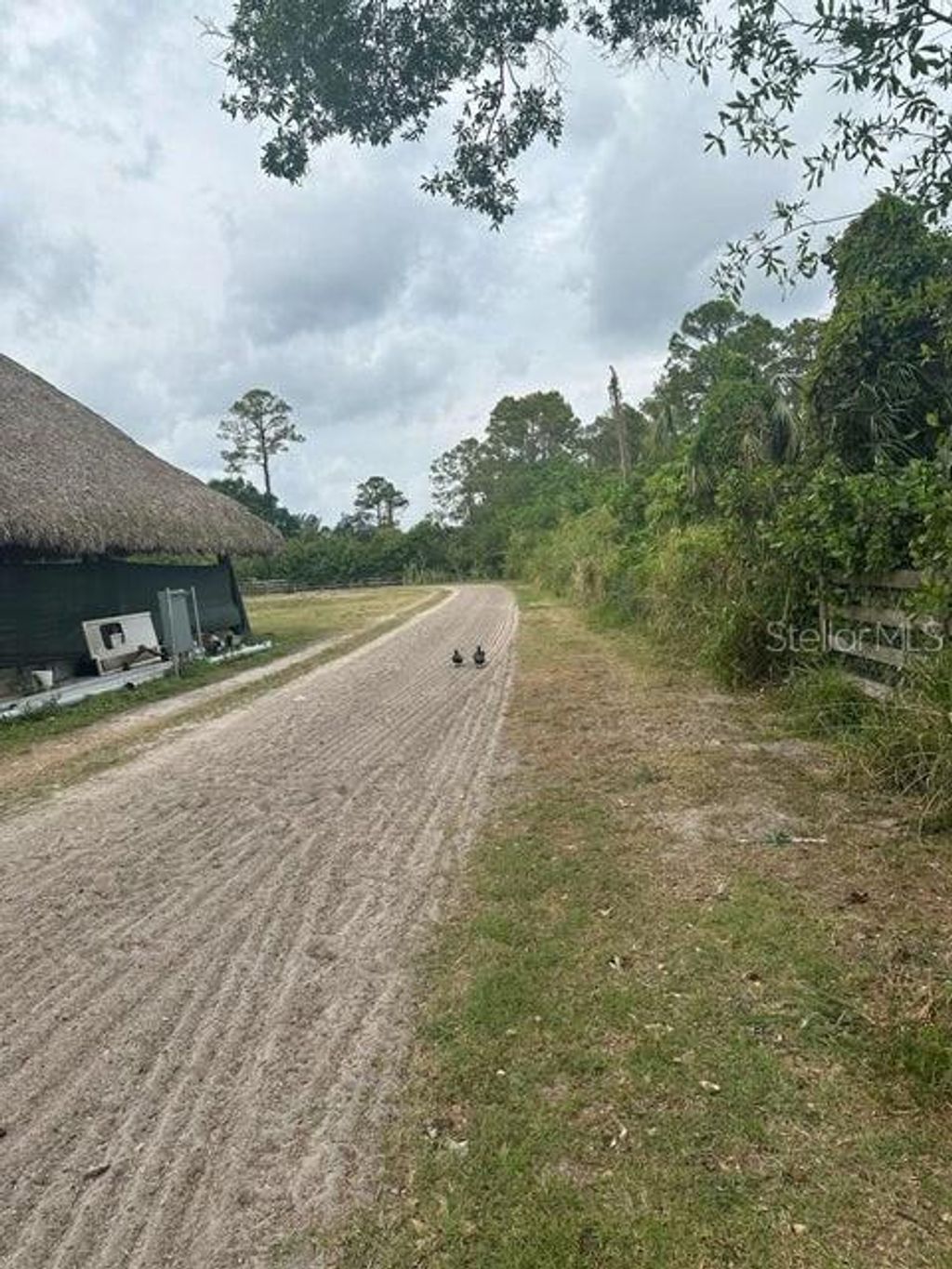 Photo of 3525 D Rd, Loxahatchee Groves, FL 33470 (MLS # O6368327)