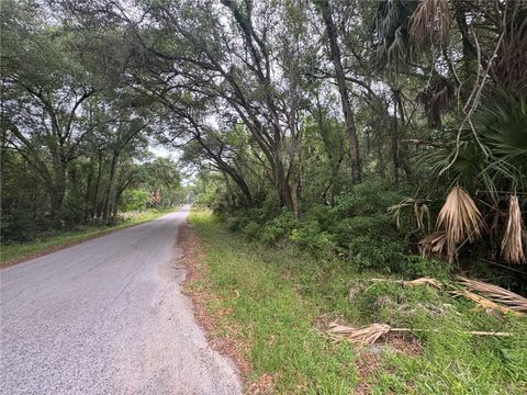 Tiny photo for 874 N Savary Avenue, Inverness, FL 34453 (MLS # GC540290)