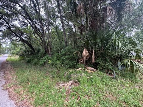 Tiny photo for 874 N Savary Avenue, Inverness, FL 34453 (MLS # GC540290)