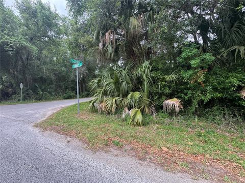 Photo of 874 N Savary Avenue, Inverness, FL 34453 (MLS # GC540290)