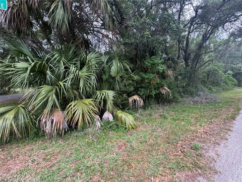 Tiny photo for 874 N Savary Avenue, Inverness, FL 34453 (MLS # GC540290)