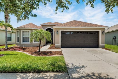 13910 CHALK HILL PLACE RIVERVIEW FL 33579