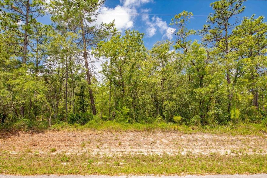 Nice size country lot ready to build your dream home on. In an area of nice country homes with plenty of peace  and quiet. Close to shopping, fine dining and hospitals. This prime lot is located in an area that is highly desirable with most home built in the last three years.Weeki Wachee State park is a stone through away along with Pine Island Beach.ALL ROADS LEADING IN AND OUT ARE P A V E D ROADS, NO DIRT ROADS