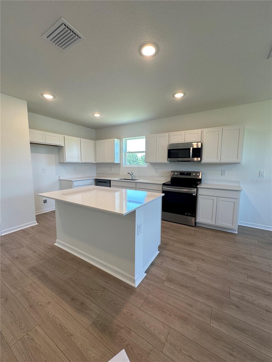 13242 SASSAFRAS TRIAL