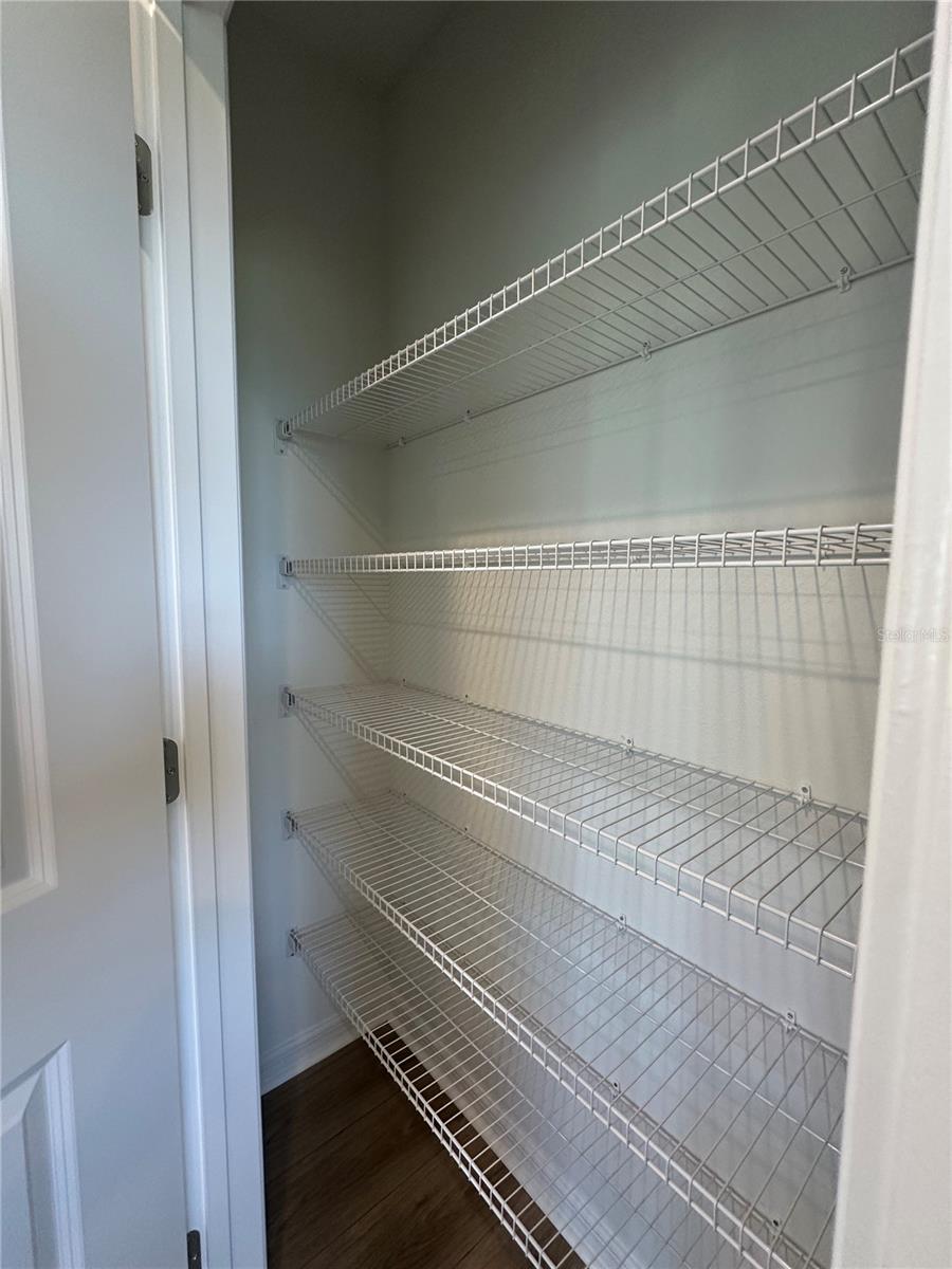 13242 SASSAFRAS TRIAL