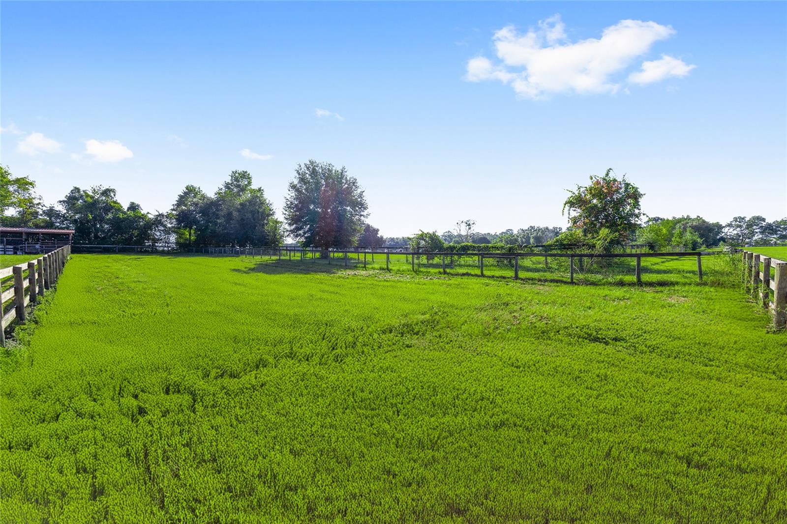 BELLEMONT FARMS - Land