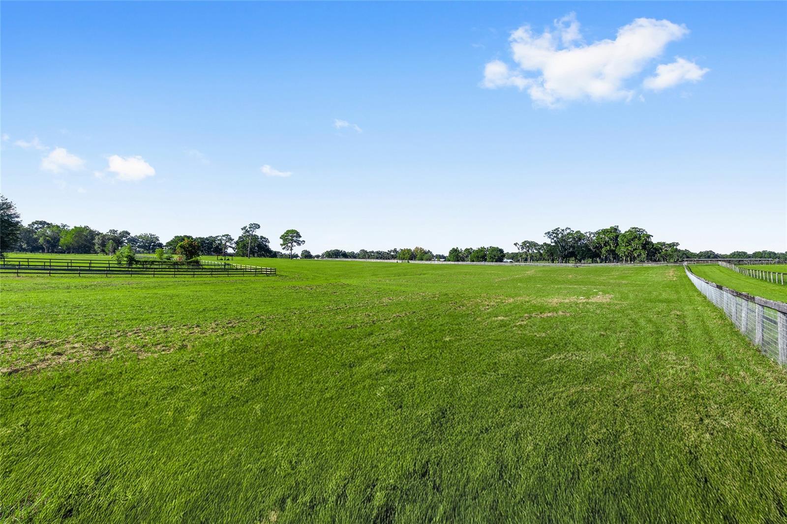 BELLEMONT FARMS - Land