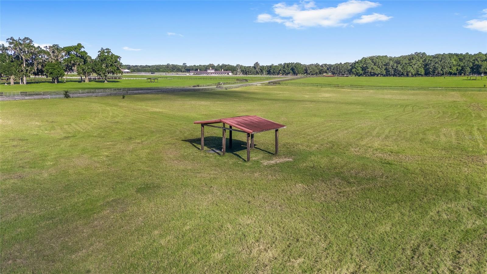 BELLEMONT FARMS - Land