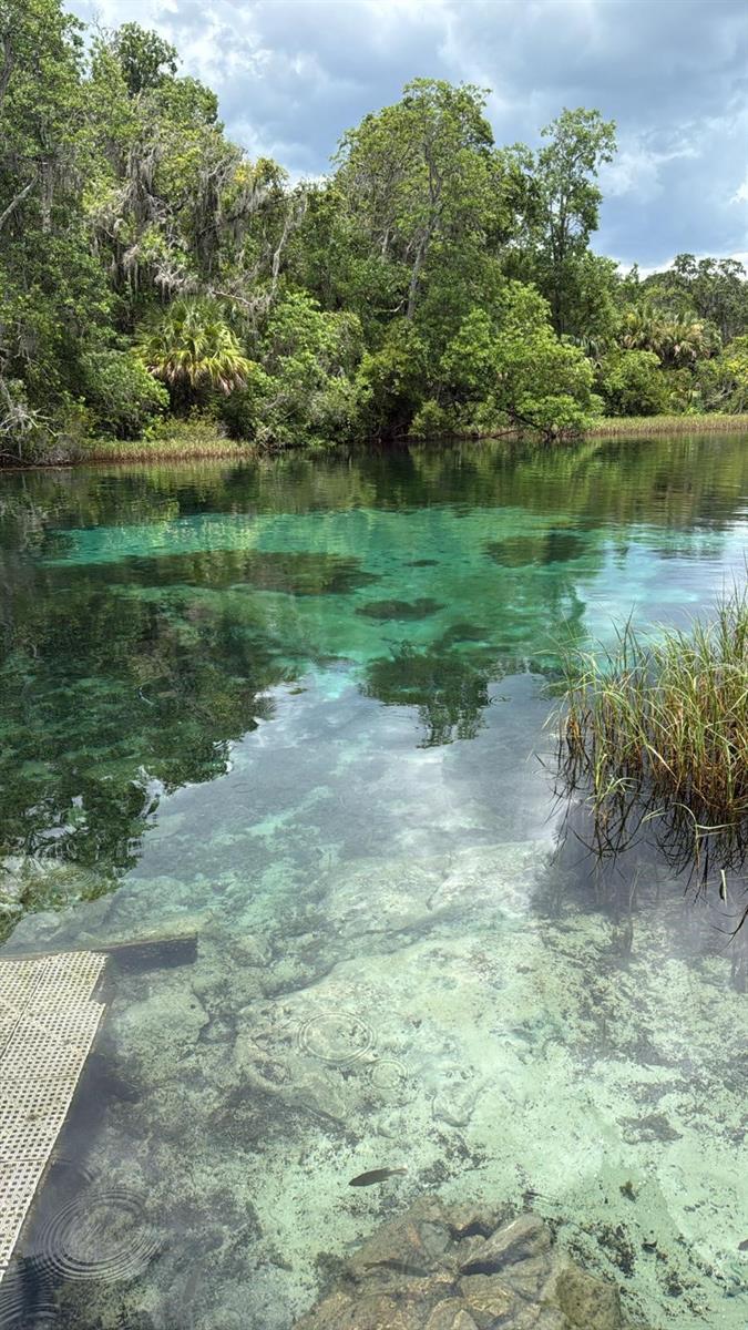 SEVEN RIVER HEIGHTS UNREC SUB - Residential