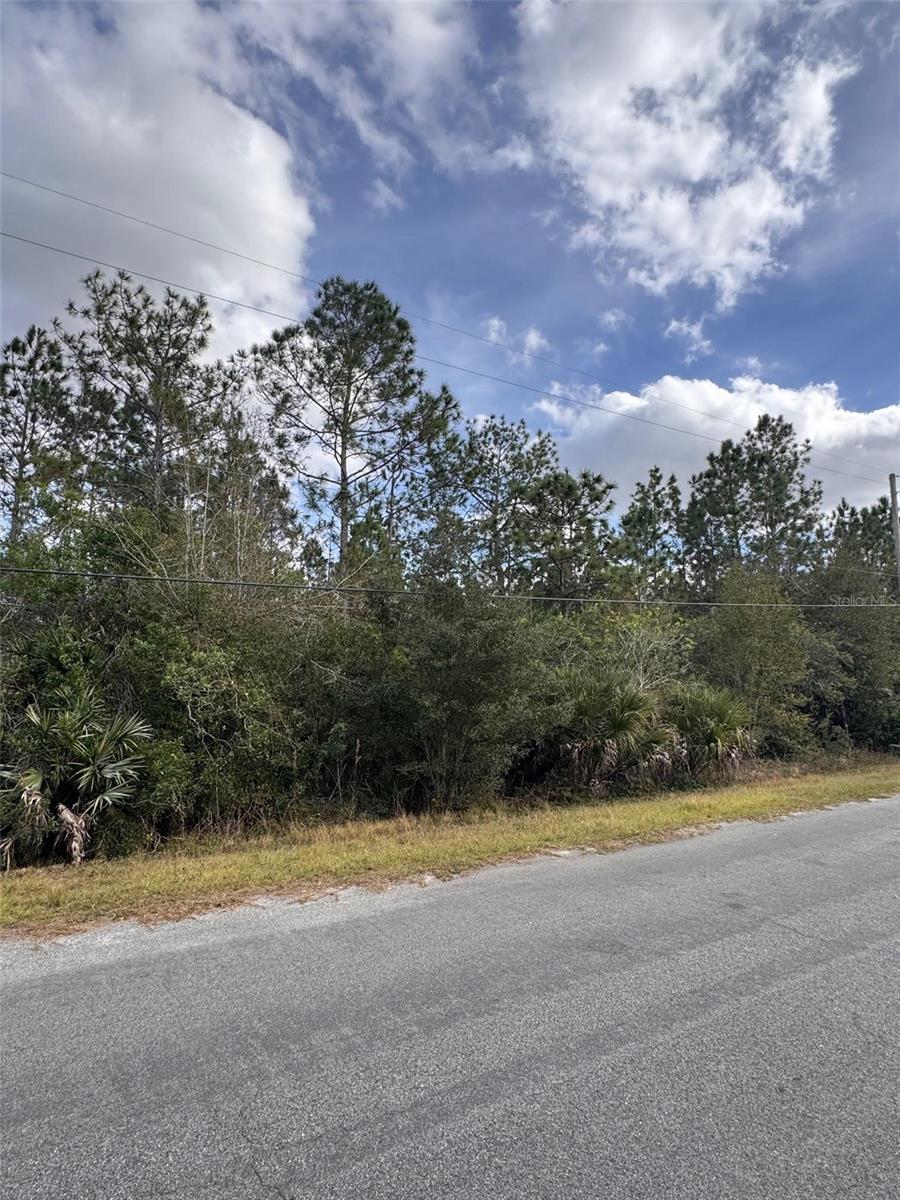 CAPE ORLANDO ESTATES - Land