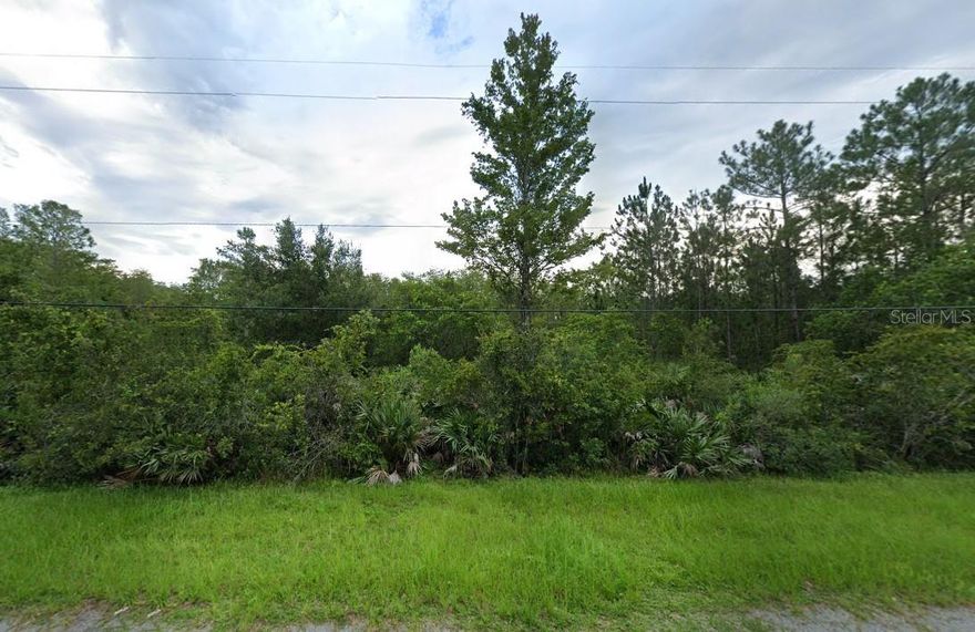 Come embrace the Wedgefield lifestyle and Build your Dream Home! Your chance is here on beautiful Coronet Ave. Wedgefield is Golf and Equestrian Community like No Other! A true Hidden Gem in East Orlando also known as Cape Orlando Estates offering 18-Hole Golf Course with Clubhouse with Restaurant. Large Playground in the Community Park, Multiple Ball Courts, Including Pickleball! Outdoor Exercise Equipment and Dog Park! Wedgefield is home to Hal Scott Regional Preserve and Park a 9,515-acre nature preserve. Hal Scott Preserves boasts miles of unspoiled sanctuary trails for hiking along the scenic shoreline of the Econlockhatchee River, with plenty of wildlife to view!! Trails are available for hiking, horseback riding and bicycling, and fishing is permitted. In Wedgefield the Proximity to 528 Allows for seamless commute to Lake Nona, Medical City or Downtown Orlando via 417, 408 or I-4. The Shores of Port Canaveral and the Beaches are just minutes away. If you are looking to create your Dream Home near World-Class Amenities or seeking a smart investment opportunity check this 1.03 acres on the stunning Coronet Ave today!