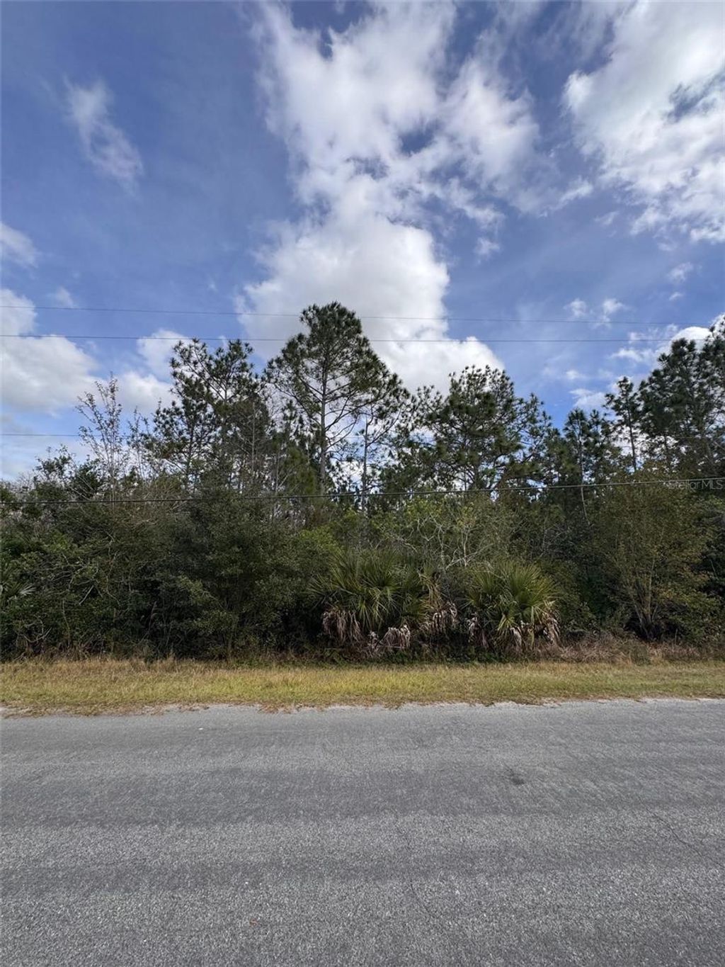 Photo of 0 Coronet Avenue, Orlando, FL 32833 (MLS # O6373013)