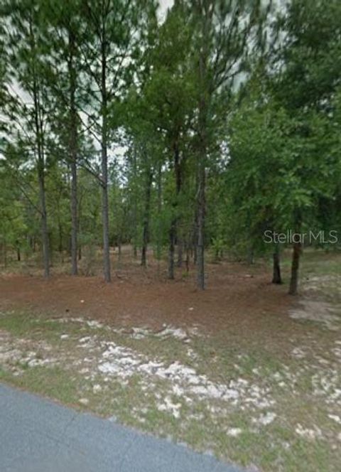 Tiny photo for 1204 W Fan Drive, Citrus Springs, FL 34434 (MLS # TB8507921)