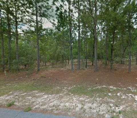 Photo of 1204 W Fan Drive, Citrus Springs, FL 34434 (MLS # TB8507921)