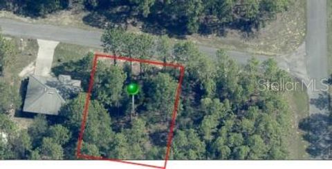 Tiny photo for 1204 W Fan Drive, Citrus Springs, FL 34434 (MLS # TB8507921)