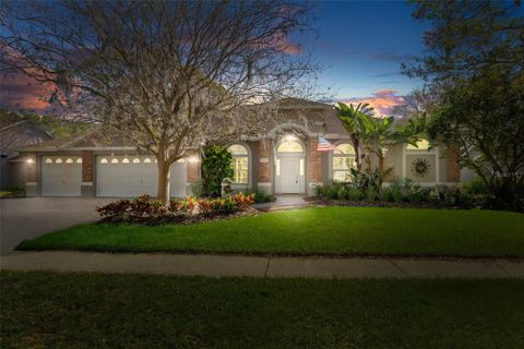 17807 CRYSTAL COVE PLACE LUTZ FL 33548