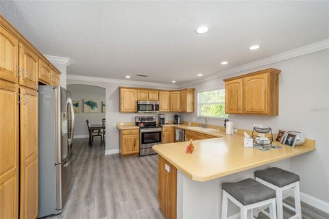 Tiny photo for 1870 Provence Court, The Villages, FL 32162 (MLS # O6406420)
