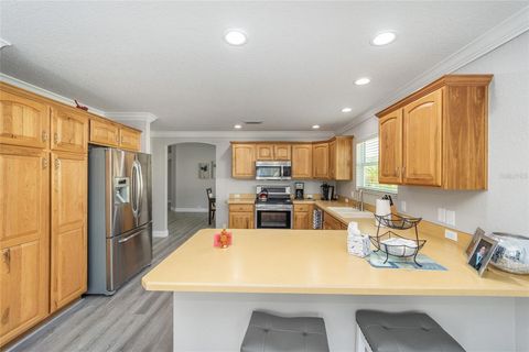 Tiny photo for 1870 Provence Court, The Villages, FL 32162 (MLS # O6406420)