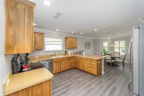 Tiny photo for 1870 Provence Court, The Villages, FL 32162 (MLS # O6406420)