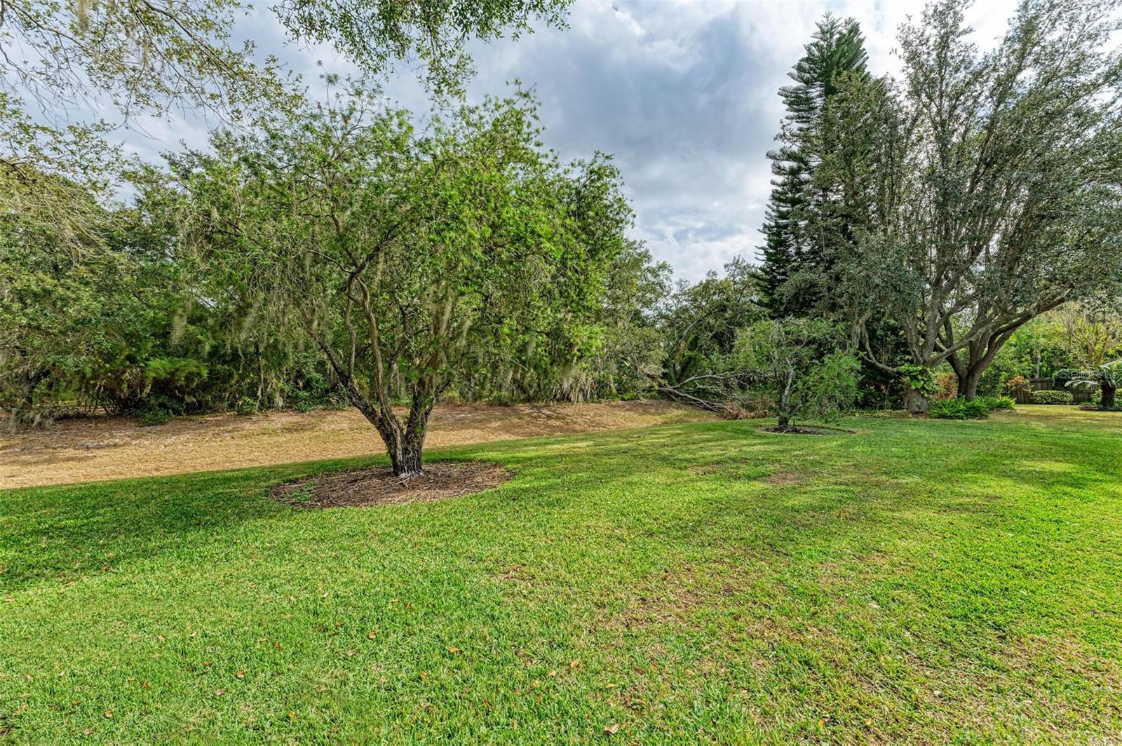 OAK CREEK FOREST - Residential