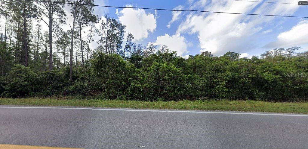 Photo of Deen Still Rd, Polk City, FL 33868 (MLS # O6266389)